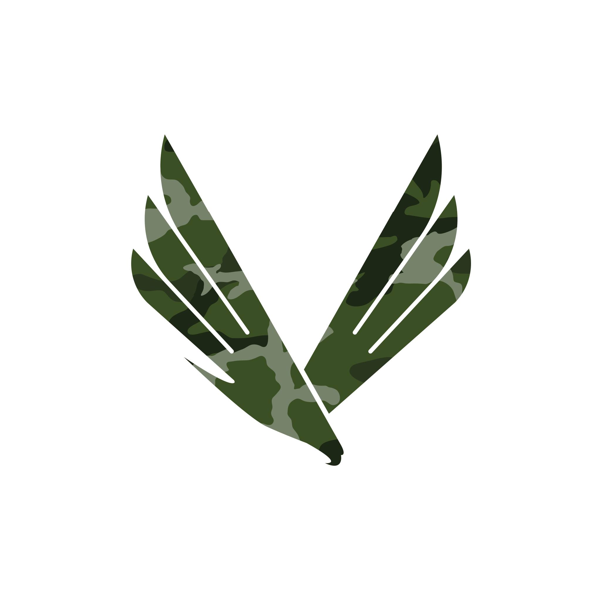 Victory Camp